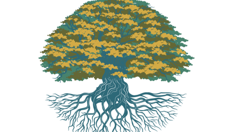 a tree with deep roots