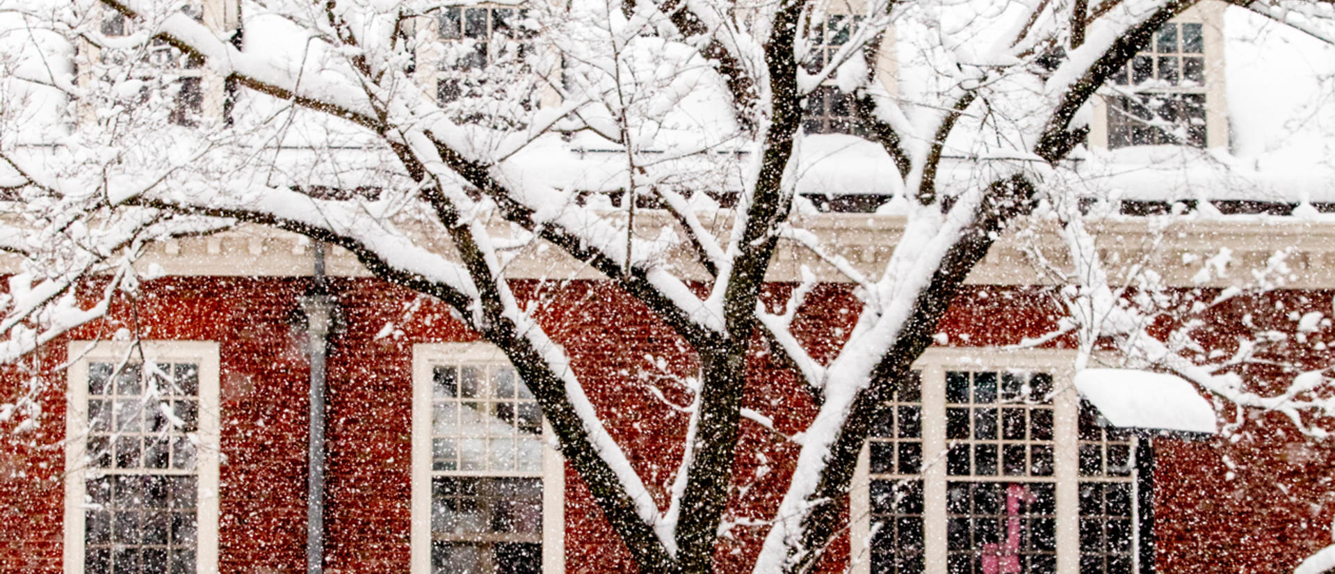 snowy day