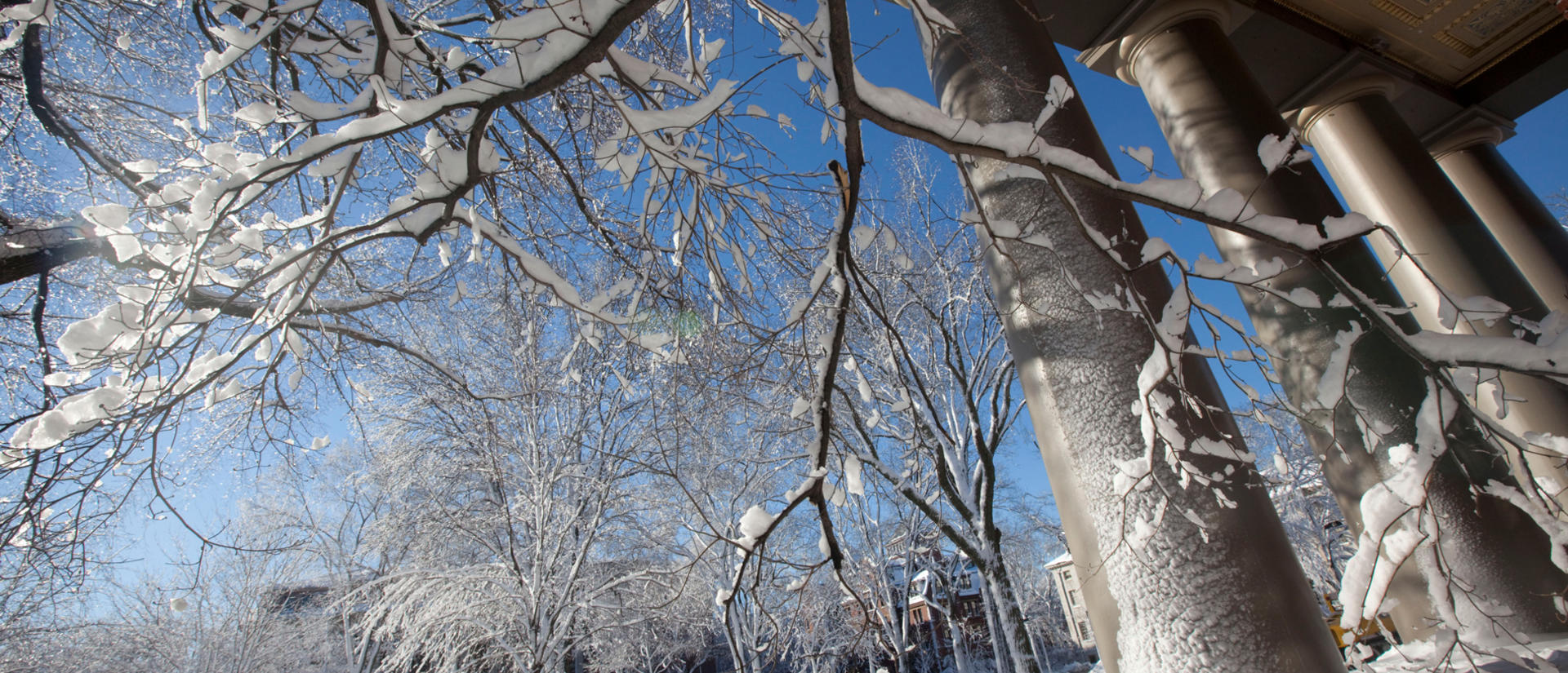 Snow fall on campus