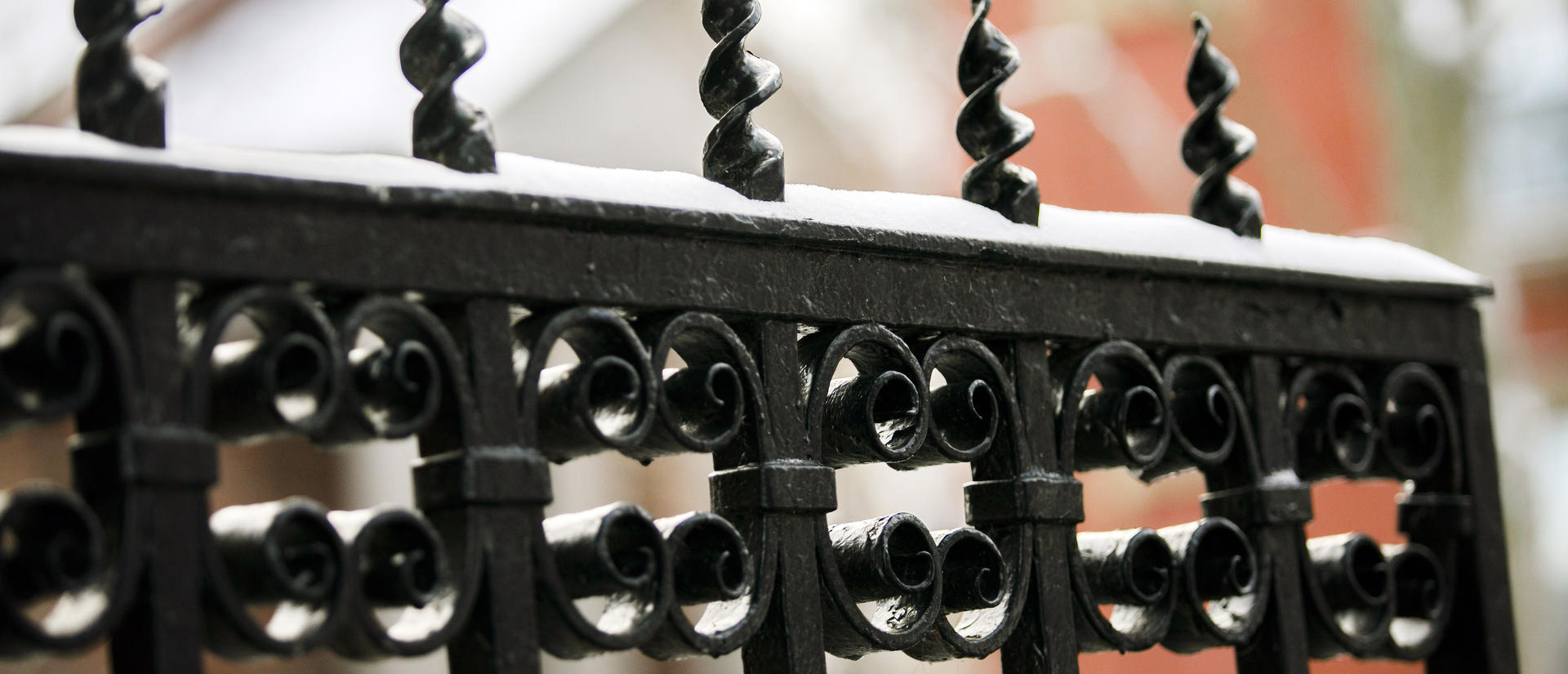 Snow on a fence